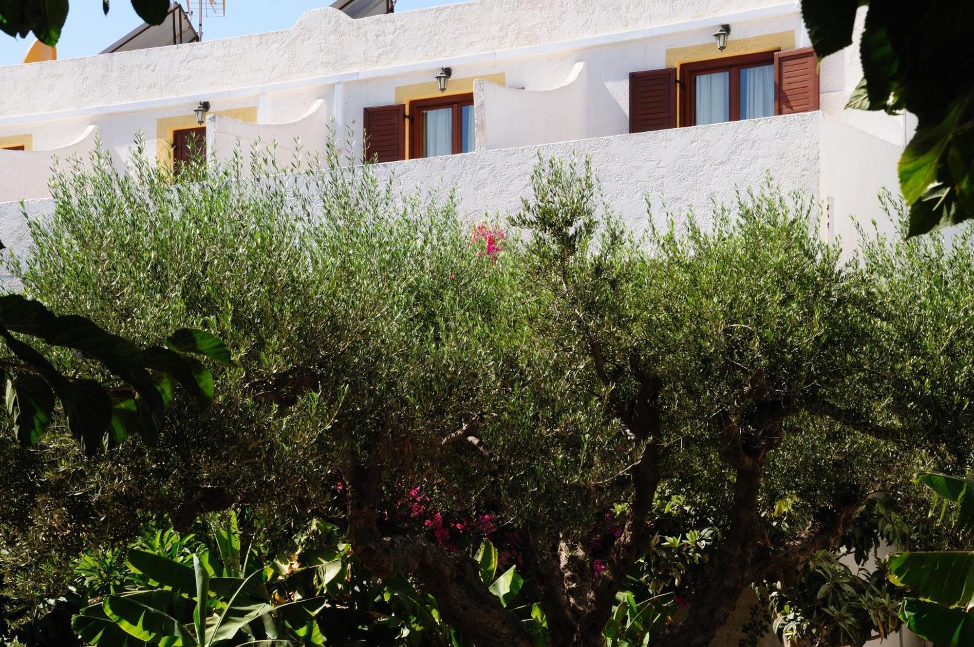 Hotel Marina Village Sitia  Buitenkant foto